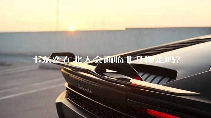 韦东奕在北大会面临非升即走吗？