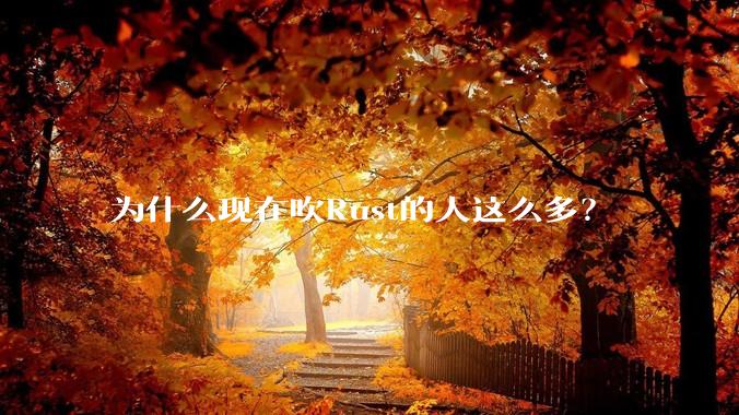 为什么现在吹Rust的人这么多？