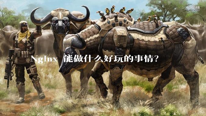 Nginx 能做什么好玩的事情？