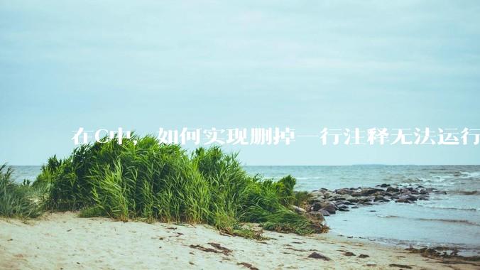 在C中，如何实现删掉一行注释无法运行？