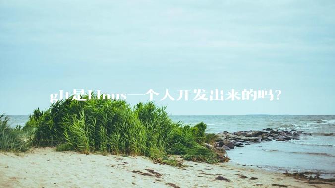 git是Linus一个人开发出来的吗？