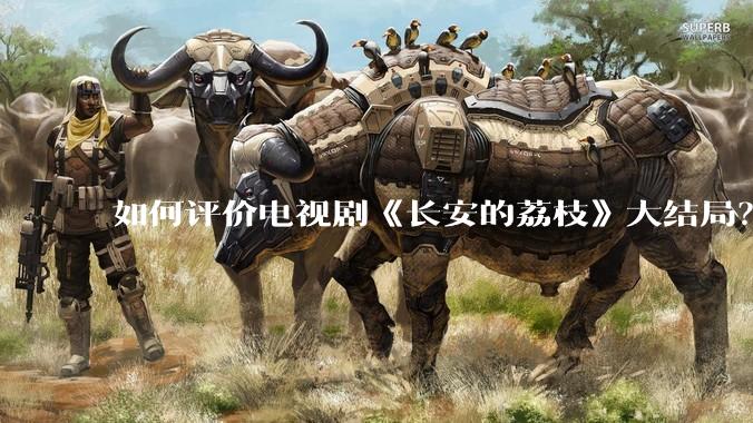 如何评价电视剧《长安的荔枝》大结局？