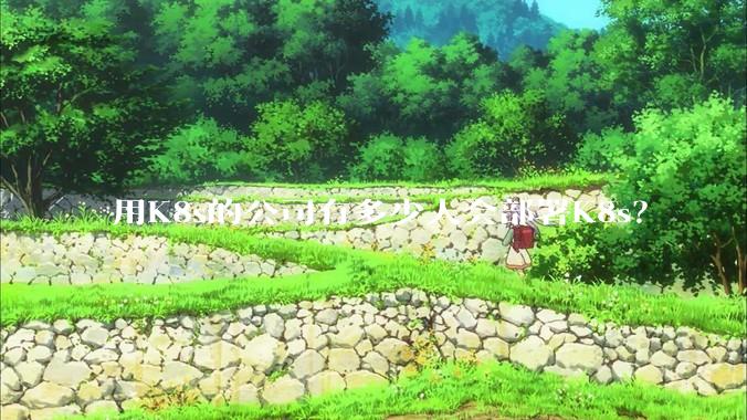 用K8s的公司有多少人会部署K8s？