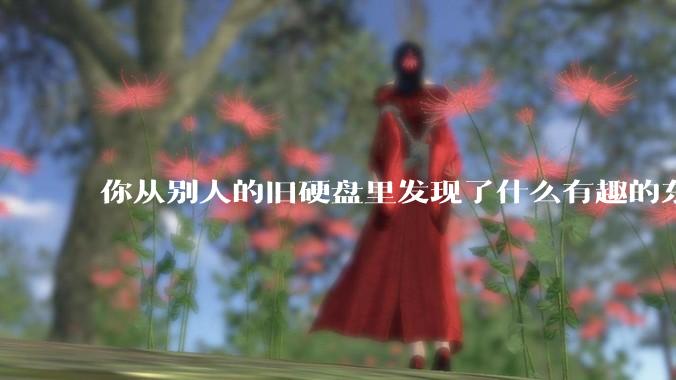 你从别人的旧硬盘里发现了什么有趣的东西？