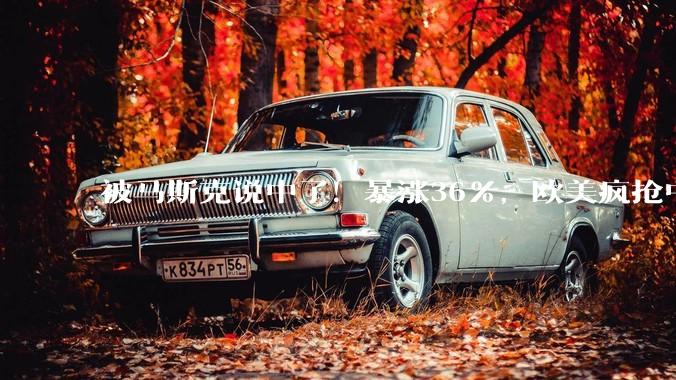 被马斯克说中了！暴涨36%，欧美疯抢中国变压器，订单已排到2029年_电网_全球_硅钢
