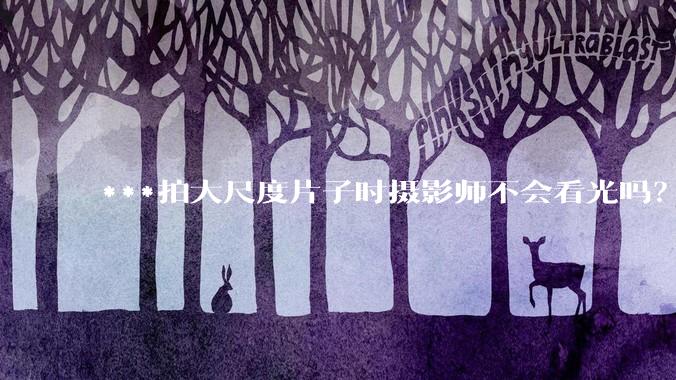 ***拍大尺度片子时摄影师不会看光吗？