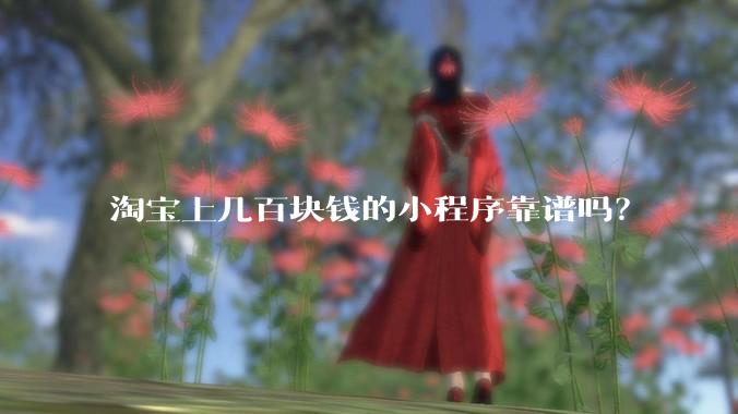 淘宝上几百块钱的小程序靠谱吗？