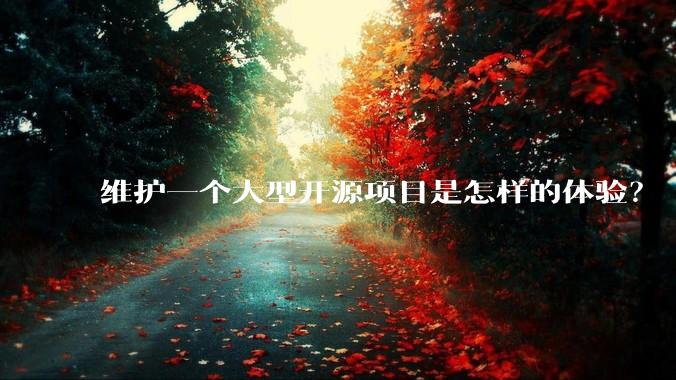 维护一个大型开源项目是怎样的体验？