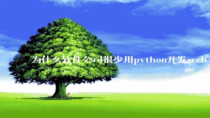 为什么软件公司很少用python开发web?