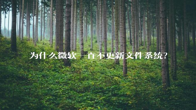 为什么微软一直不更新文件系统？