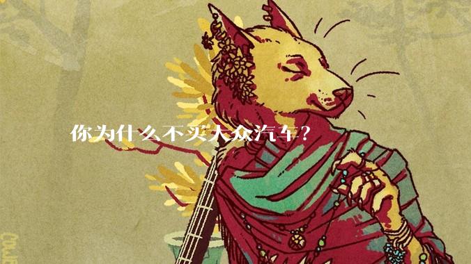 你为什么不买大众汽车？