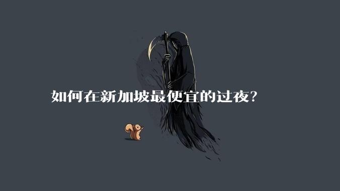 如何在新加坡最便宜的过夜？